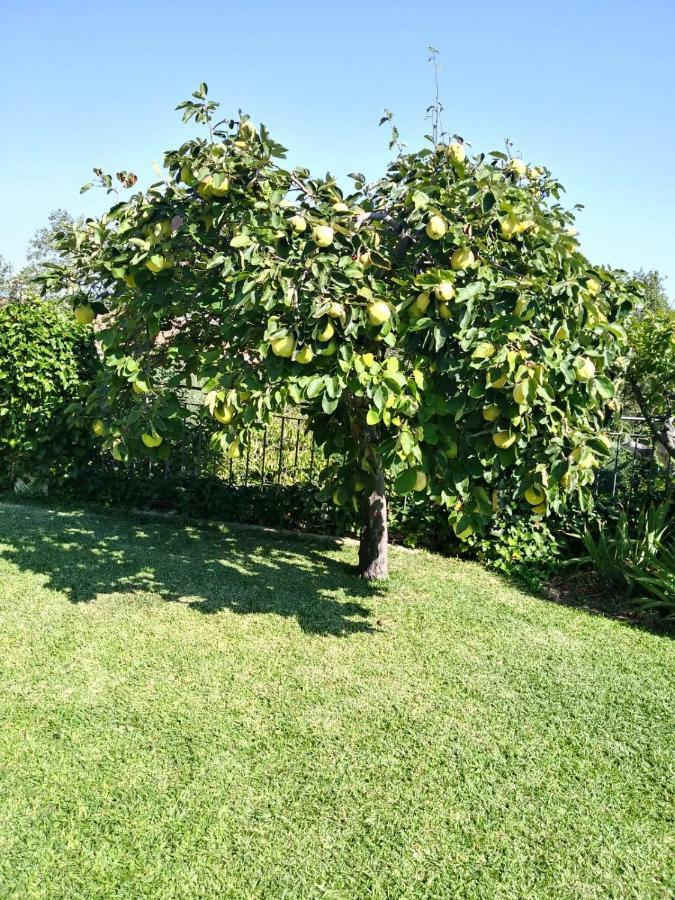 Jardin De La Yedra Pensionat Caces Eksteriør billede