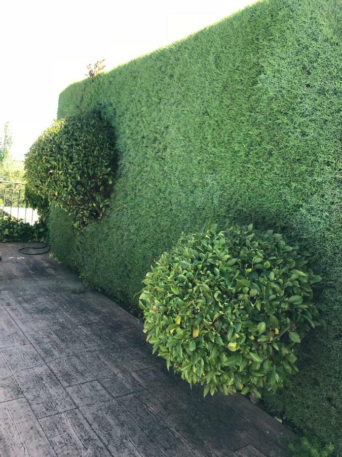 Jardin De La Yedra Pensionat Caces Eksteriør billede