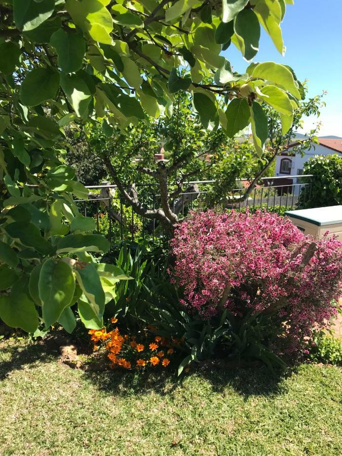 Jardin De La Yedra Pensionat Caces Eksteriør billede